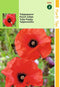 2 stuks Papaver glaucum Tulp Papaver