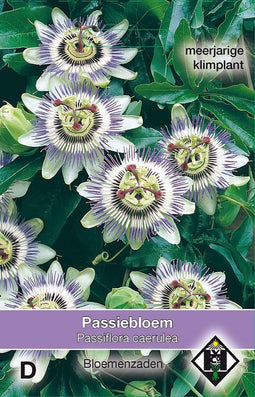 2 stuks Passiflora caeruleaVan Hemert & Co