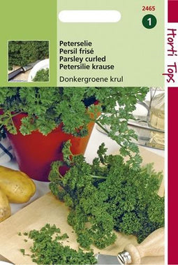 2 stuks Peterselie Gekrulde Donkergroene