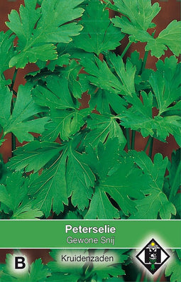 2 stuks Peterselie Gewone SnijVan Hemert & Co