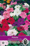 2 stuks Petunia nana compacta Colorama MixVan Hemert & Co