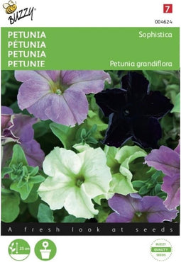 2 stuks Petunia Sophistica gemengd