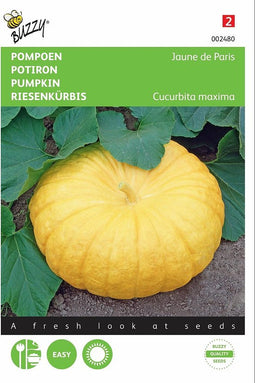 2 stuks Pompoen Gele Reuzen