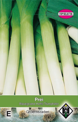 2 stuks Prei Blauwgroene Herfst TriumphatorVan Hemert & Co