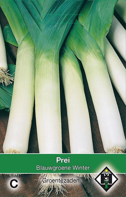 2 stuks Prei Blauwgroene WinterVan Hemert & Co