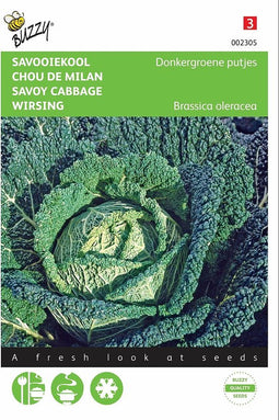 2 stuks Savooiekool Donkergroene putjes