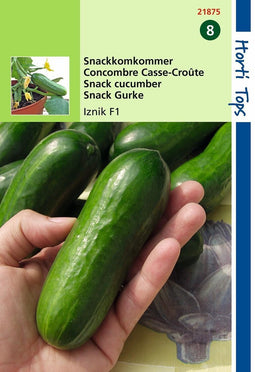 2 stuks Snackkomkommer Iznik F1