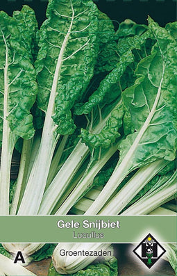 2 stuks Snijbiet LucullusVan Hemert & Co