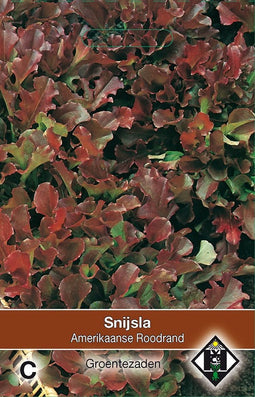 2 stuks Snijsla Amerikaanse RoodrandVan Hemert & Co