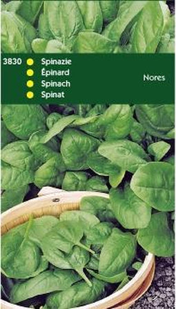 2 stuks Spinazie Nores, (Type Viking) Rond Zaad 250 gram