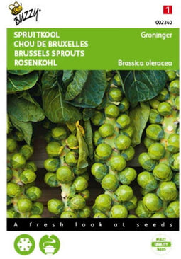 2 stuks Spruitkool Groninger