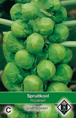 2 stuks Spruitkool RoodnerfVan Hemert & Co