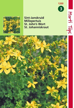 2 stuks St. Janskruid