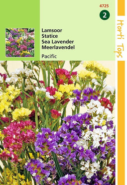 2 stuks Statice Sinuata Pacific Gemengd
