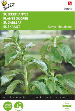 2 stuks Stevia, Suikerplantje of Honingkruid Zaden