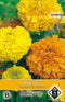 2 stuks Tagetes erecta CrackerjackVan Hemert & Co
