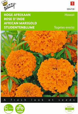 2 stuks Tagetes, hoge Afrikaan Hawaii oranje