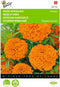 2 stuks Tagetes, hoge Afrikaan Hawaii oranje