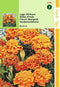 2 stuks Tagetes Patula Nana Bolero