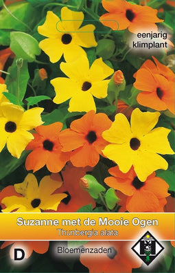 2 stuks Thunbergia alataVan Hemert & Co