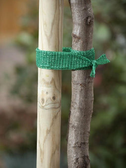 2 stuks Uni boomband 4cmx2m Nature