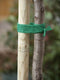 2 stuks Uni boomband 4cmx2m Nature