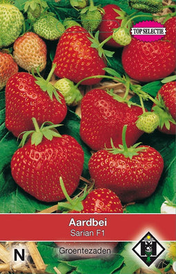 2 stuks Van Hemert & Co Aardbei Delician (vh Sarian F1)