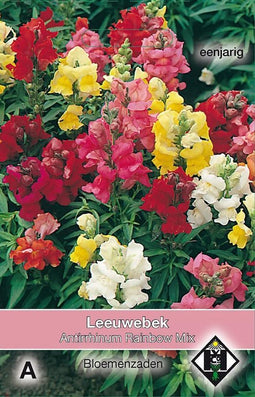 2 stuks Van Hemert & Co Antirrhinum majus Rainbow Mix