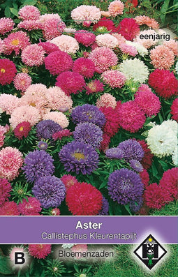 2 stuks - Van hemert co - Aster chinensis Kleurentapijt