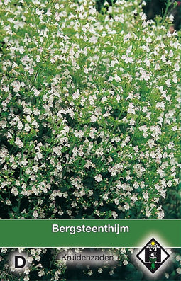 2 stuks - Van hemert co - Bergsteen tijm Calamintha