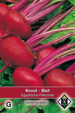 2 stuks - Van hemert co - Biet Kroot Egyptische Platronde, 20 gr.