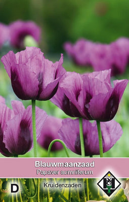 2 stuks - Van hemert co - Blauwmaanzaad