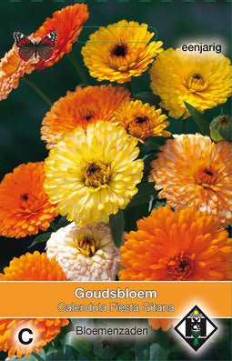 2 stuks Van Hemert & Co Calendula officinalis Fiesta Gitana
