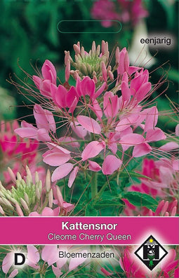 2 stuks - Van hemert co - Cleome hassleriana Cherry Queen