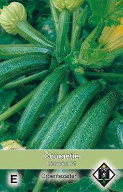 2 stuks - Van hemert co - Courgette Diamant F1