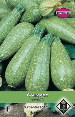 2 stuks Van Hemert & Co Courgette Zagora F1