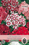 2 stuks Van Hemert & Co Dianthus barbatus Florist Mengsel