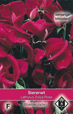 2 stuks - Van hemert co - Lathyrus o. Zorjia Rose