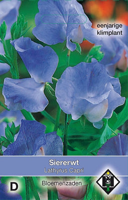 2 stuks - Van hemert co - Lathyrus odoratus Capri