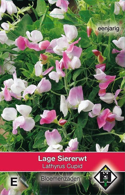 2 stuks Van Hemert & Co Lathyrus odoratus Cupid