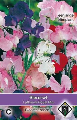 2 stuks Van Hemert & Co Lathyrus odoratus Royal Mix