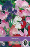 2 stuks Van Hemert & Co Lathyrus odoratus Royal Mix