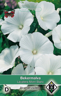 2 stuks - Van hemert co - Lavatera trimestris Mont Blanc