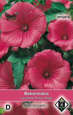 2 stuks - Van hemert co - Lavatera trimestris Ruby Regis
