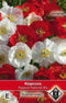 2 stuks Van Hemert & Co Papaver national mix
