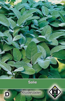 2 stuks - Van hemert co - Salie Salvia