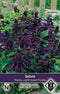 2 stuks Van Hemert & Co Salvia lighthouse purple