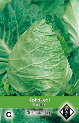 2 stuks - Van hemert co - Spitskool Express