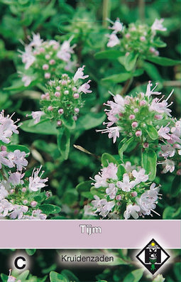 2 stuks - Van hemert co - Tijm Thymus