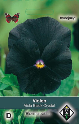 2 stuks Van Hemert & Co Viola x wittrockiana Black Cristal